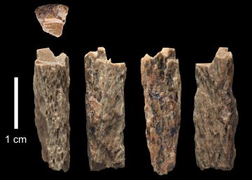 Nosotros%20somos%20los%20otros%20humanos