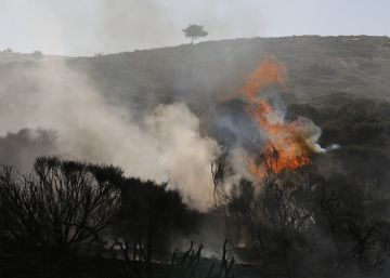 Los%20incendios%20en%20el%20Parque%20Nacional%20de%20la%20sierra%20del%20Guadarrama,%20en%20im%C3%A1genes