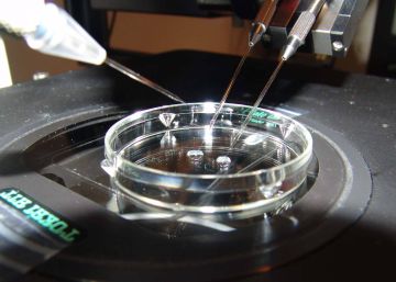 Unas%203.200%20mujeres%20est%C3%A1n%20en%20lista%20de%20espera%20para%20una%20fecundaci%C3%B3n%20in%20vitro