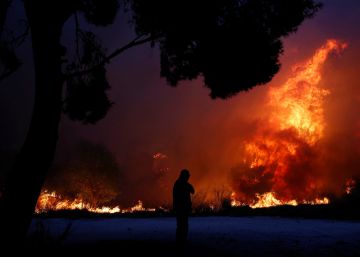 Al%20menos%2079%20muertos%20y%20187%20heridos%20por%20varios%20incendios%20en%20Grecia