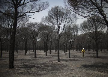 Las%20Administraciones%20suspenden%20en%20la%20prevenci%C3%B3n%20contra%20los%20incendios%20forestales
